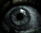 Avatar y perfil de Boriar