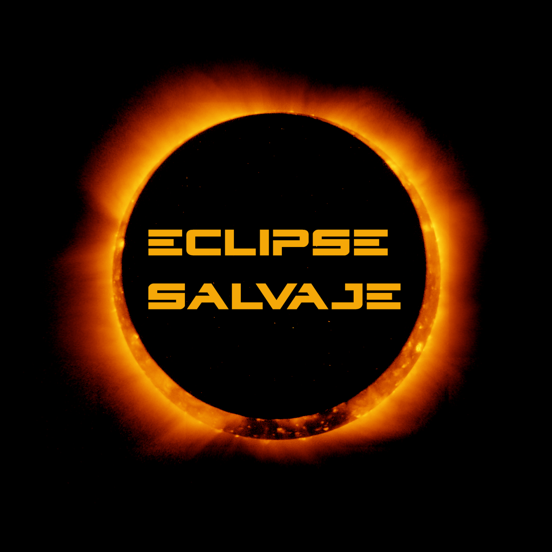 Avatar y perfil de montver